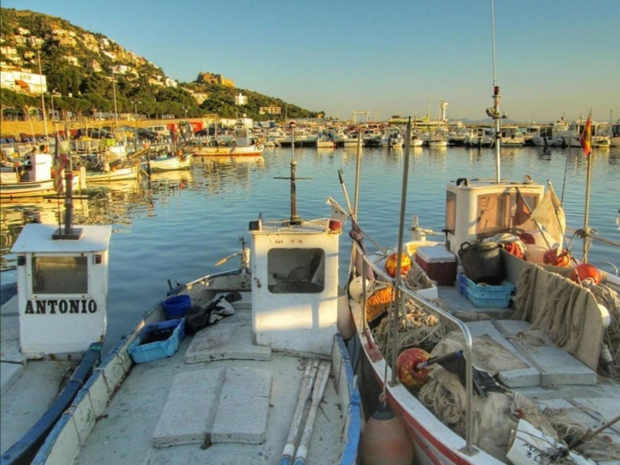 2166 Rocmar 1 4-C, Excelente Situacion Frente Al Puerto Pesquero Y Con Vista A La Bahia. Gran Terraza. Gran Parking Publico Delante. - Es-258-30 Daire Roses Dış mekan fotoğraf
